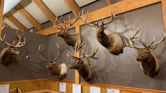 Rocky Mountain Elk Foundation