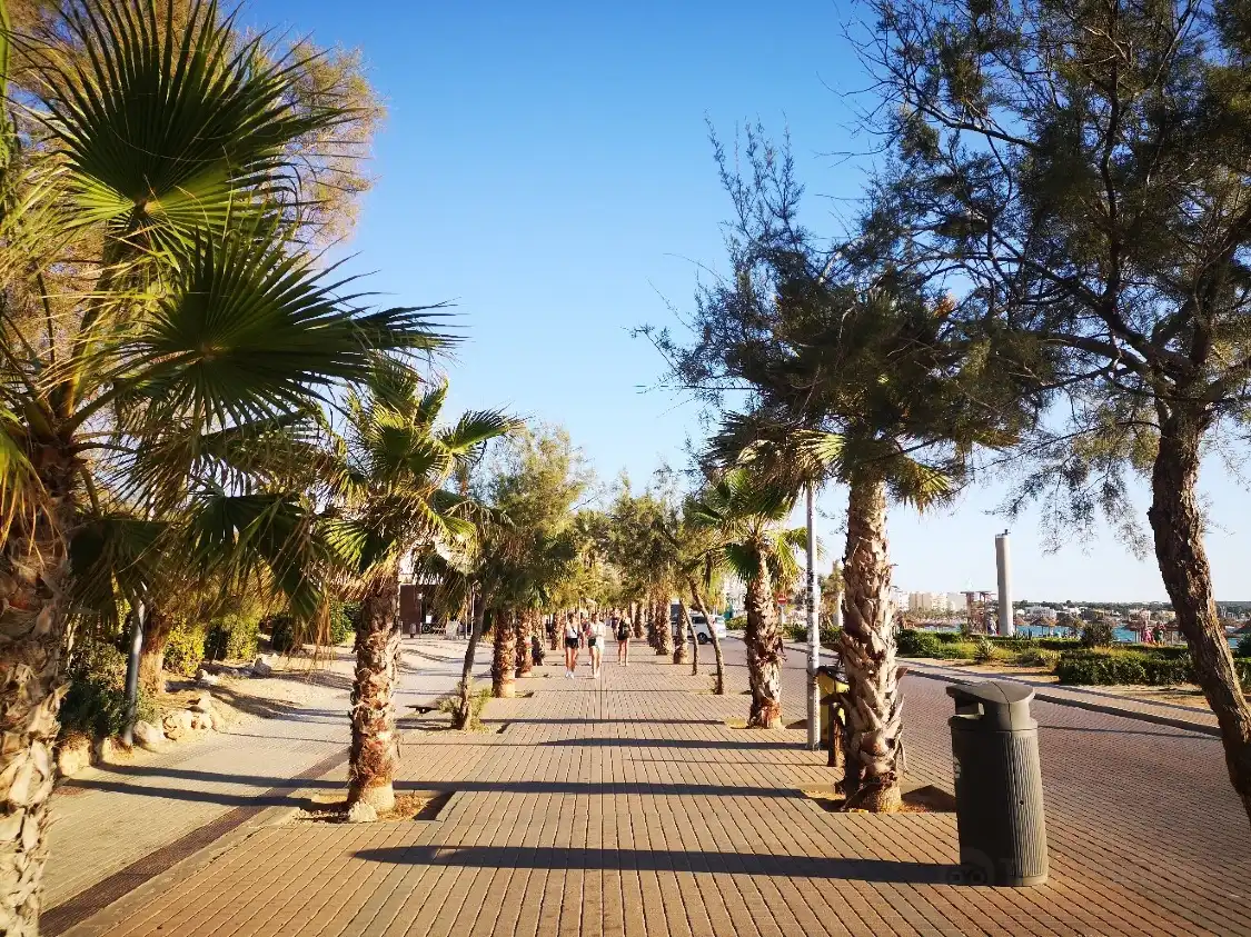 Hotels near Playa de Palma, El Arenal