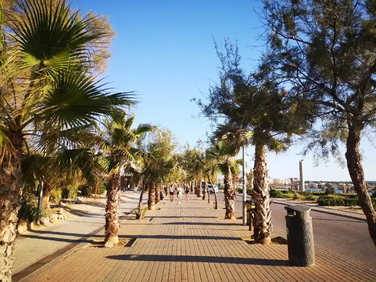 Hotels near Playa de Palma, El Arenal