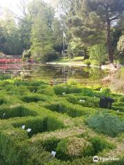 Jardín Botánico de la Universidad de Gante