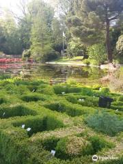 Jardin Botanique de l'Université de Gand