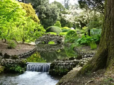 West Dean Gardens