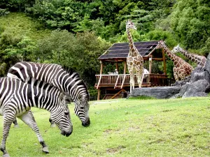 Noichi Zoological Park