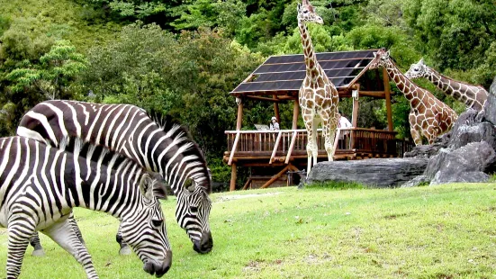 Noichi Zoological Park of Kochi Prefecture