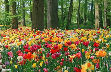 Dilbeek