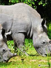 Rhino Fund Uganda