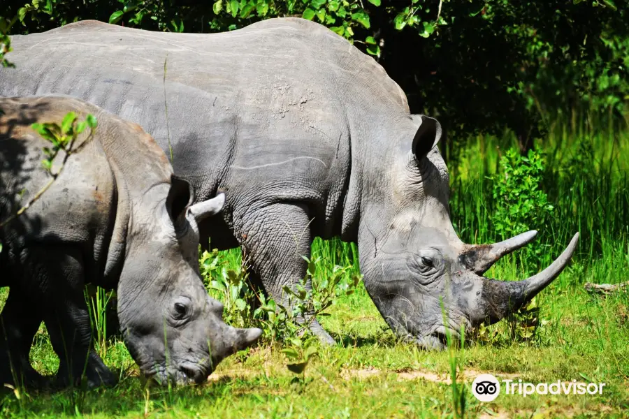 Rhino Fund Uganda