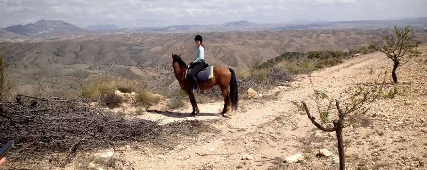 Rancho Luz del Sol