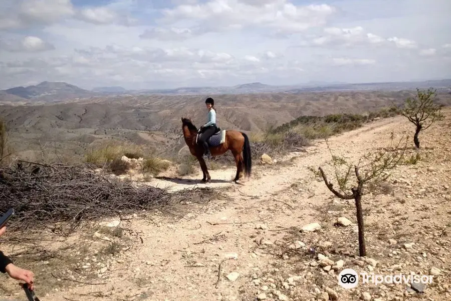 Rancho Luz del Sol