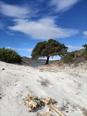 Stagno di San Teodoro