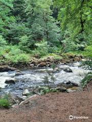 The Hermitage of Braid and Blackford Hill Local Nature Reserve