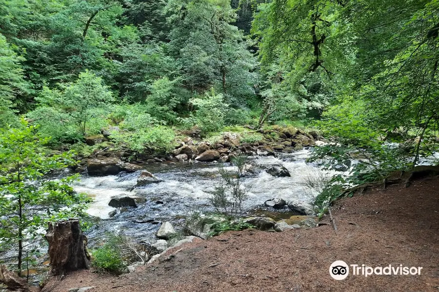 Hermitage of Braid and Blackford Hill Local Nature Reserve