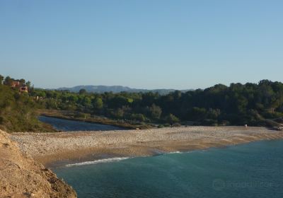 Playa de Santes Creus