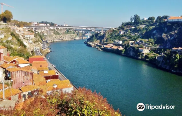 5_Douro River