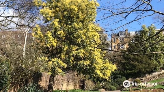 Terrace Gardens- Richmond Hill
