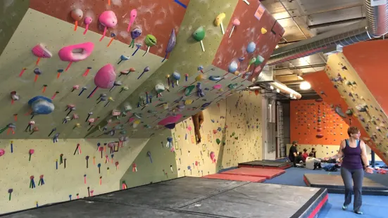 Philadelphia Rock Gyms - Wyncote