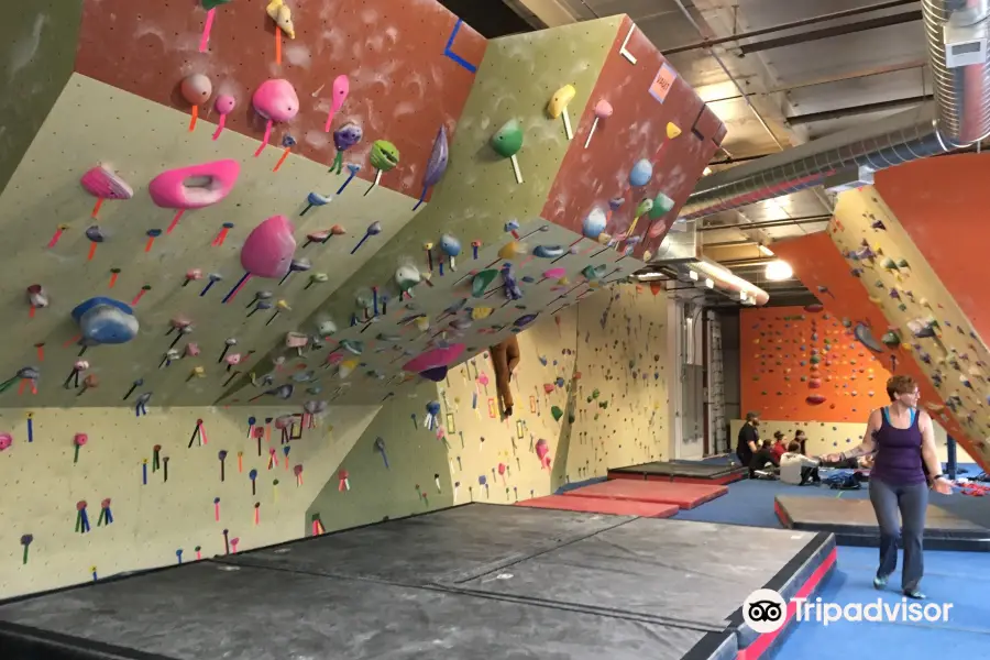 Philadelphia Rock Gyms - Wyncote