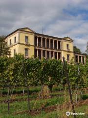 Villa Ludwigshoehe