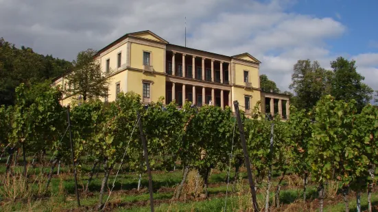 Villa Ludwigshoehe