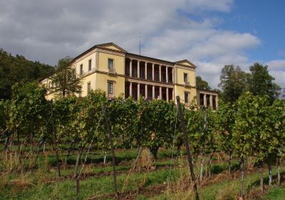 Villa Ludwigshoehe