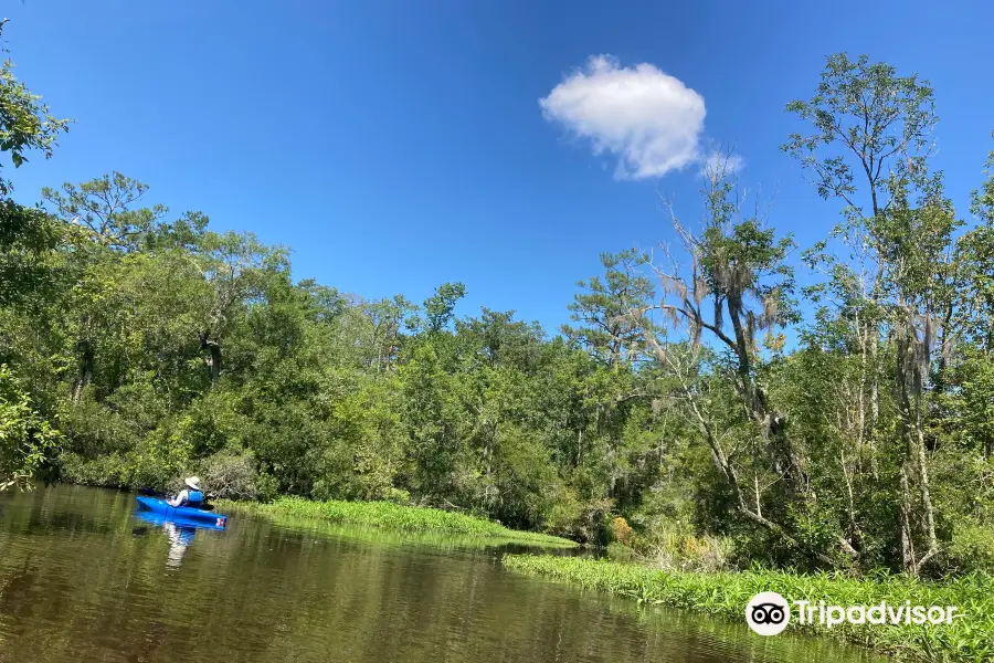 Kayak Charleston