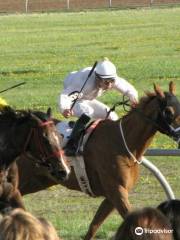 Horsemen's Park Simulcasting Facility