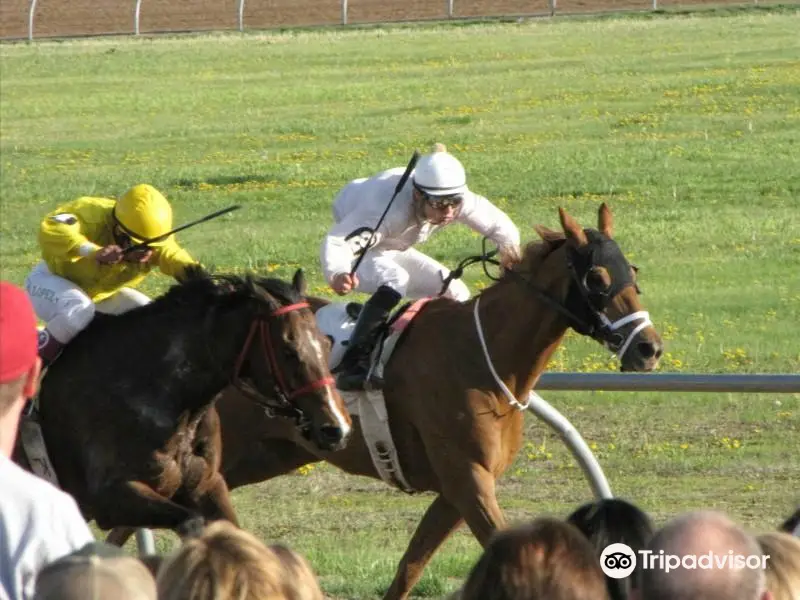 Horsemen's Park Simulcasting Facility