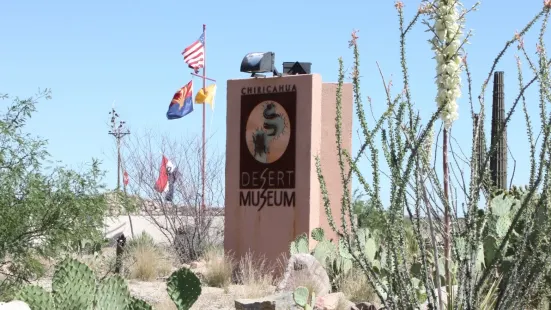 The Chiricahua Desert Museum