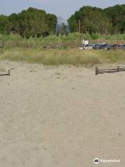 Spiaggia Libera Fossa Maestra