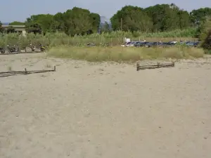 Spiaggia Libera Fossa Maestra