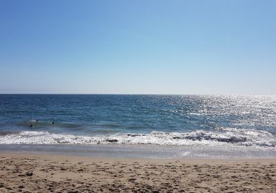 Point Dume State Beach and Preserve