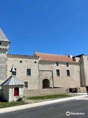 Château de Monts-sur-Guesnes