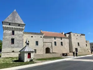 Chateau de Monts-sur-Guesnes