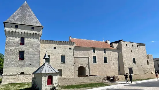 Chateau de Monts-sur-Guesnes