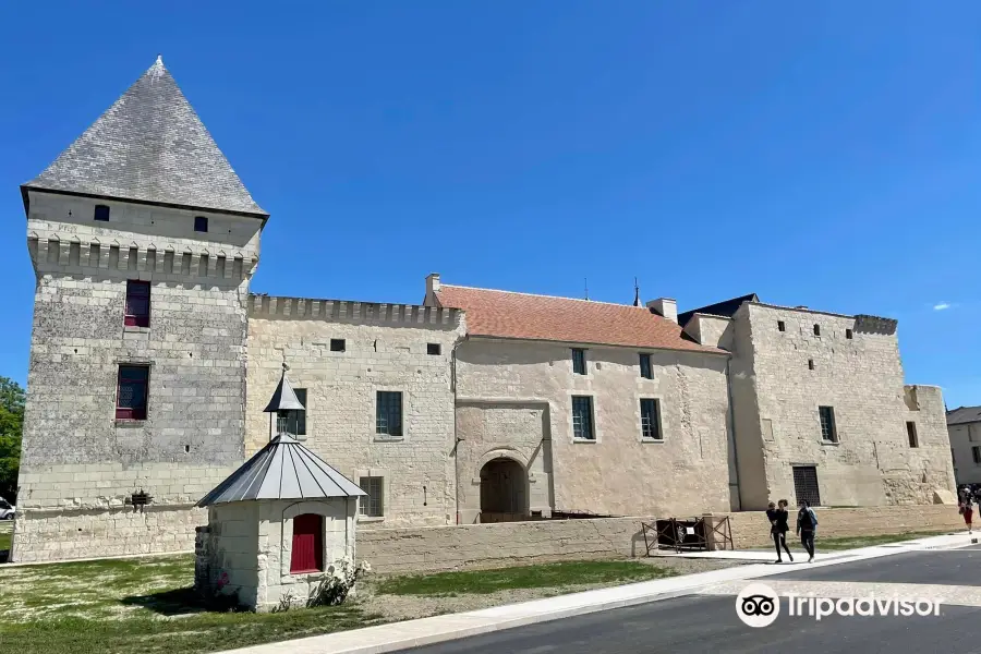 Chateau de Monts-sur-Guesnes