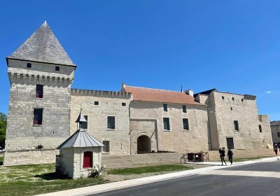 Chateau de Monts-sur-Guesnes