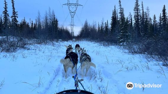 Blue Sky Expeditions