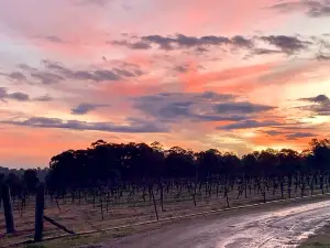 Blueberry Hill Vineyard