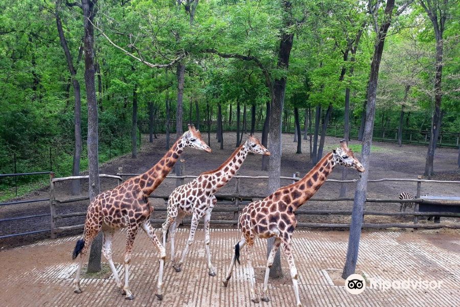 塞格德動物園