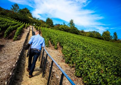 Champagne-Ardenne