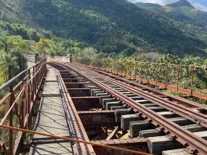 Bridge Eng. Paulo de Frontin