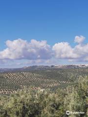 Cortijo Spiritu Santo