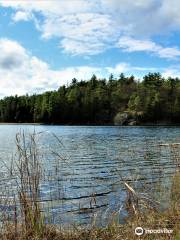 Petroglyphs Provincial Park