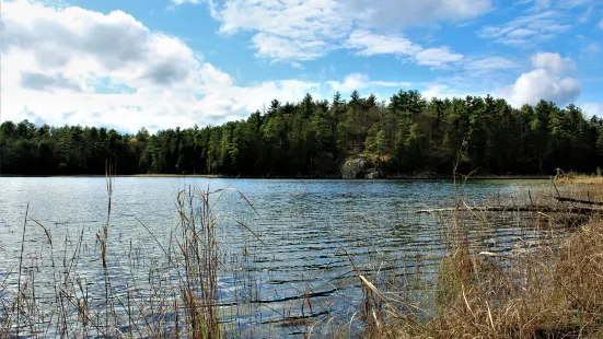 Petroglyphs Provincial Park