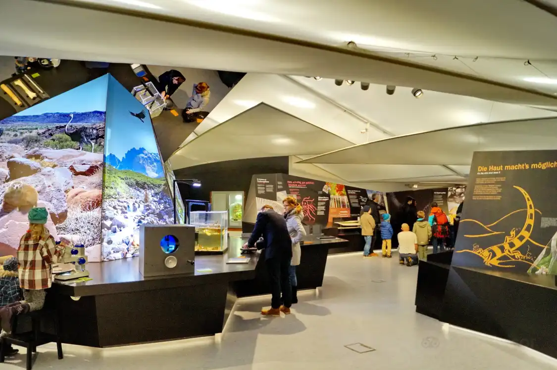 Hotel in zona Bionicum