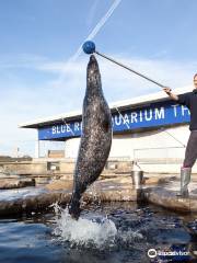 Tynemouth Aquarium