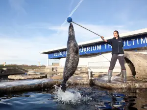 Blue Reef Aquarium