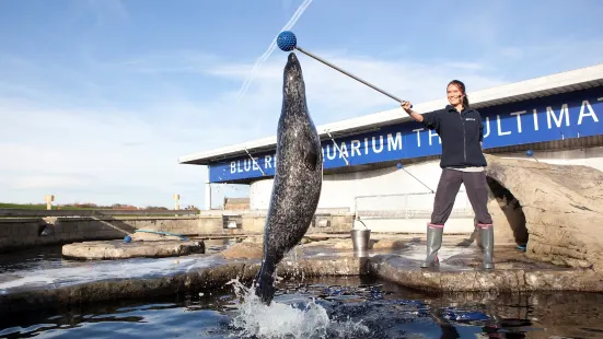 Blue Reef Aquarium