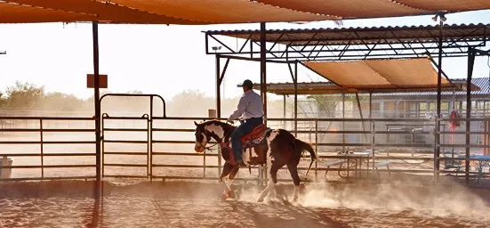 Tucson Equestrian Center