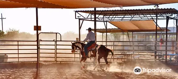 Tucson Equestrian Center